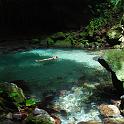 Emerald pool, Dominica
